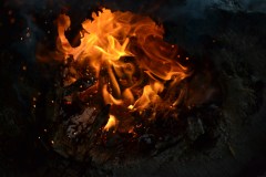 Tulistelu on olennainen osa erotusta.